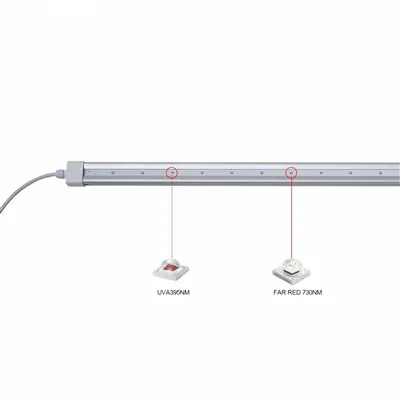 Udsender LED Grow Lights UV? Her er det komplette svar